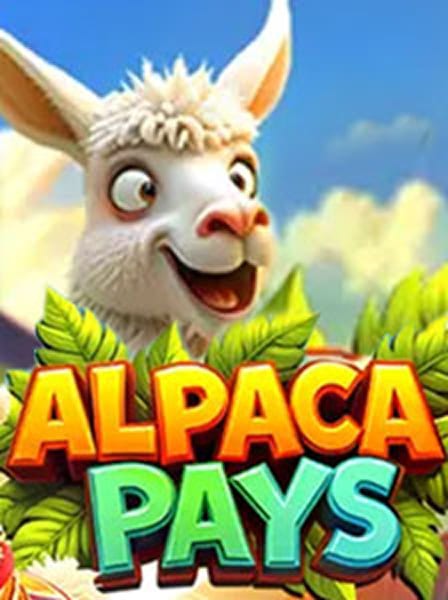 Cassino s08: Diversão Ao Vivo, Jogos e Pagamentos Rápidos! 🍀